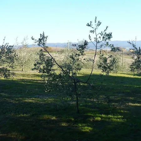 La Casina *
